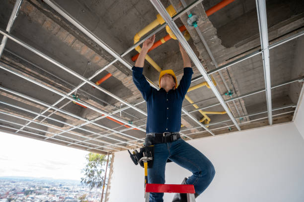 Best Best Plumbers Near Me  in Carey, OH