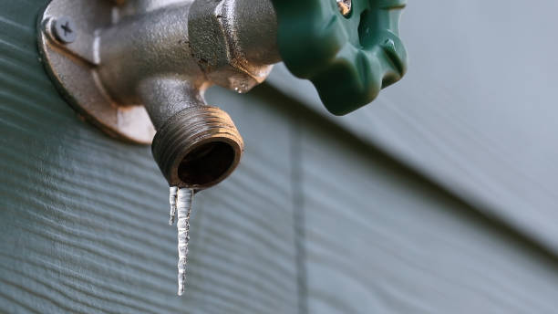 Best Best Plumbers Near Me  in Carey, OH